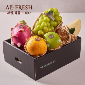 [고국배송] 에코그린 과일선물세트 1호