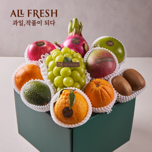 [고국배송] 프리미엄 과일선물세트 5호